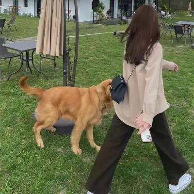 女神捕之绝境 热播封面